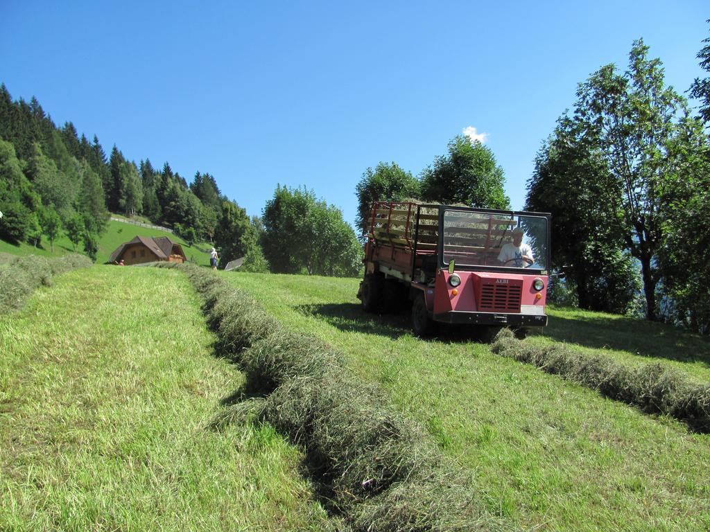 Lercherhof Feld am See Exteriör bild