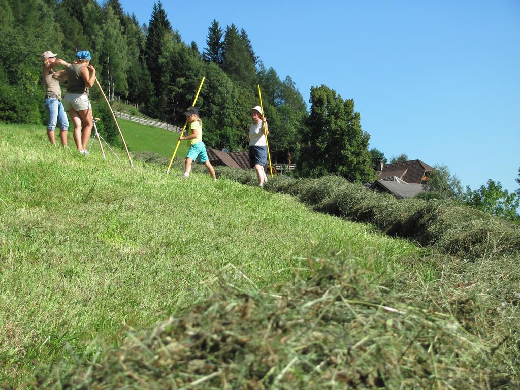 Lercherhof Feld am See Exteriör bild