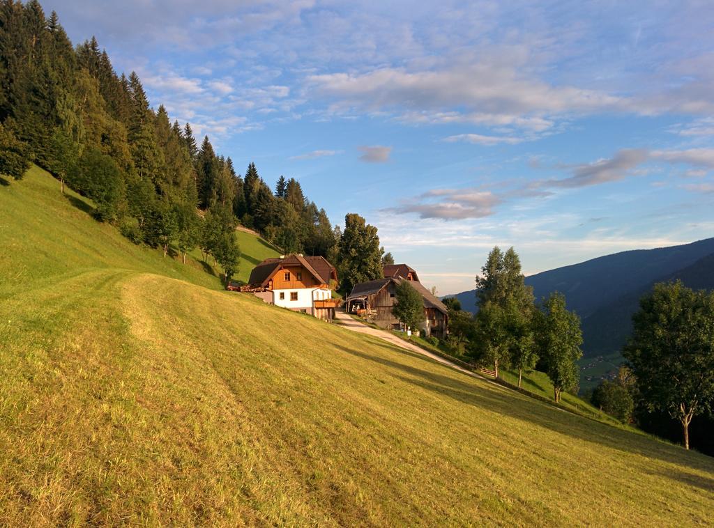 Lercherhof Feld am See Rum bild